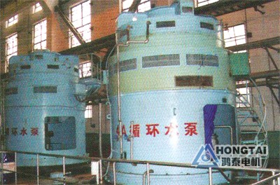 西安电机维修厂成功完成18000KW机组循环泵高压电机双速改造